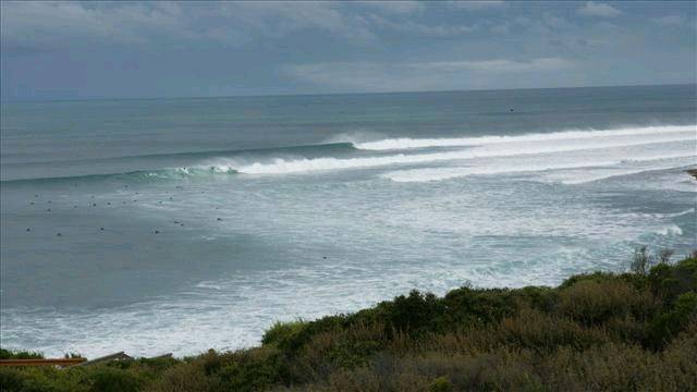 DSC01442 (Small)