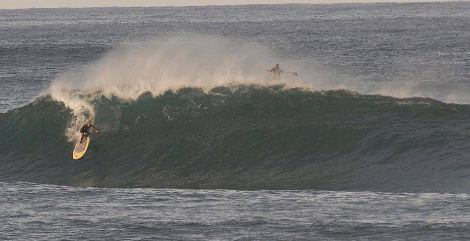 TC longy bombie