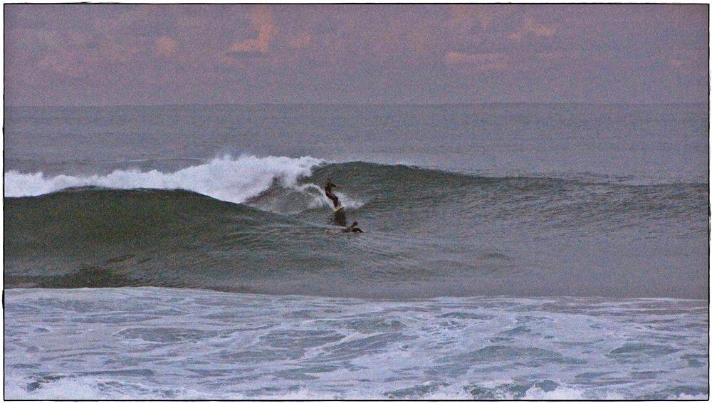 Coal Coast ECL Swell 036