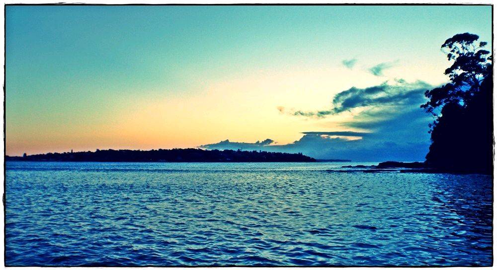 Bay Paddle 004