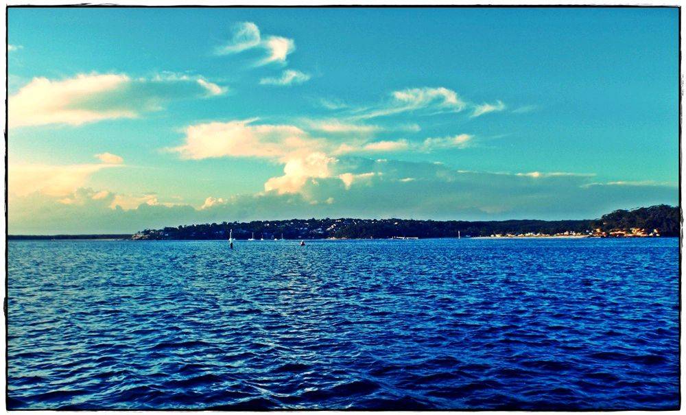 Bay Paddle 009