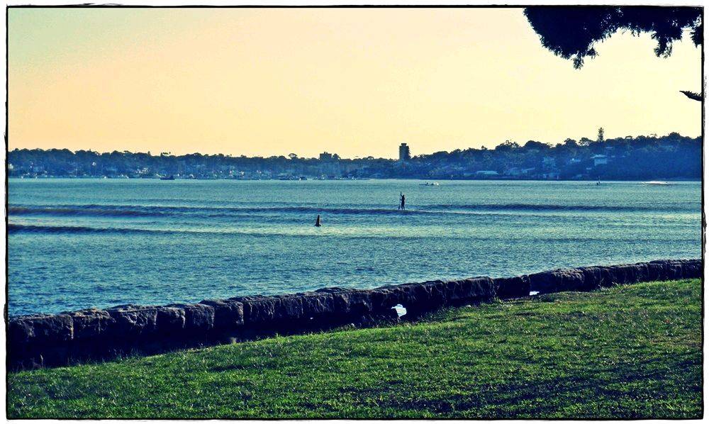 Bay Paddle 024