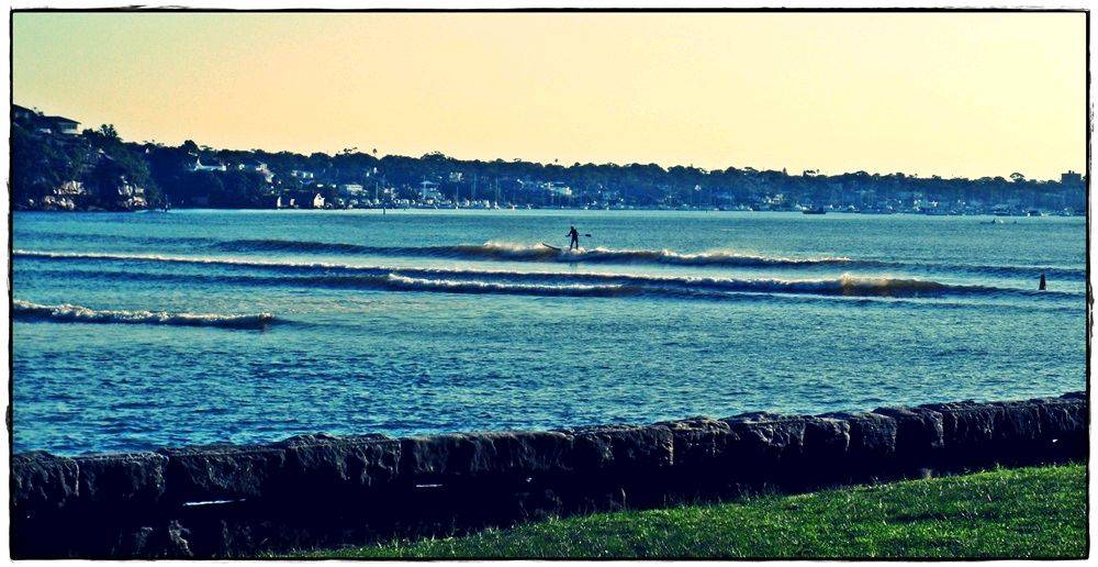 Bay Paddle 026