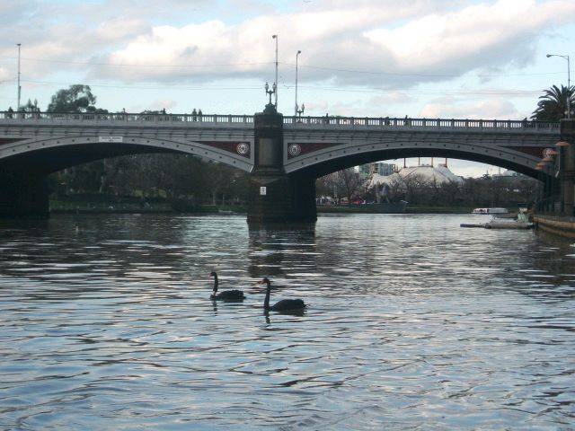 Yarra
