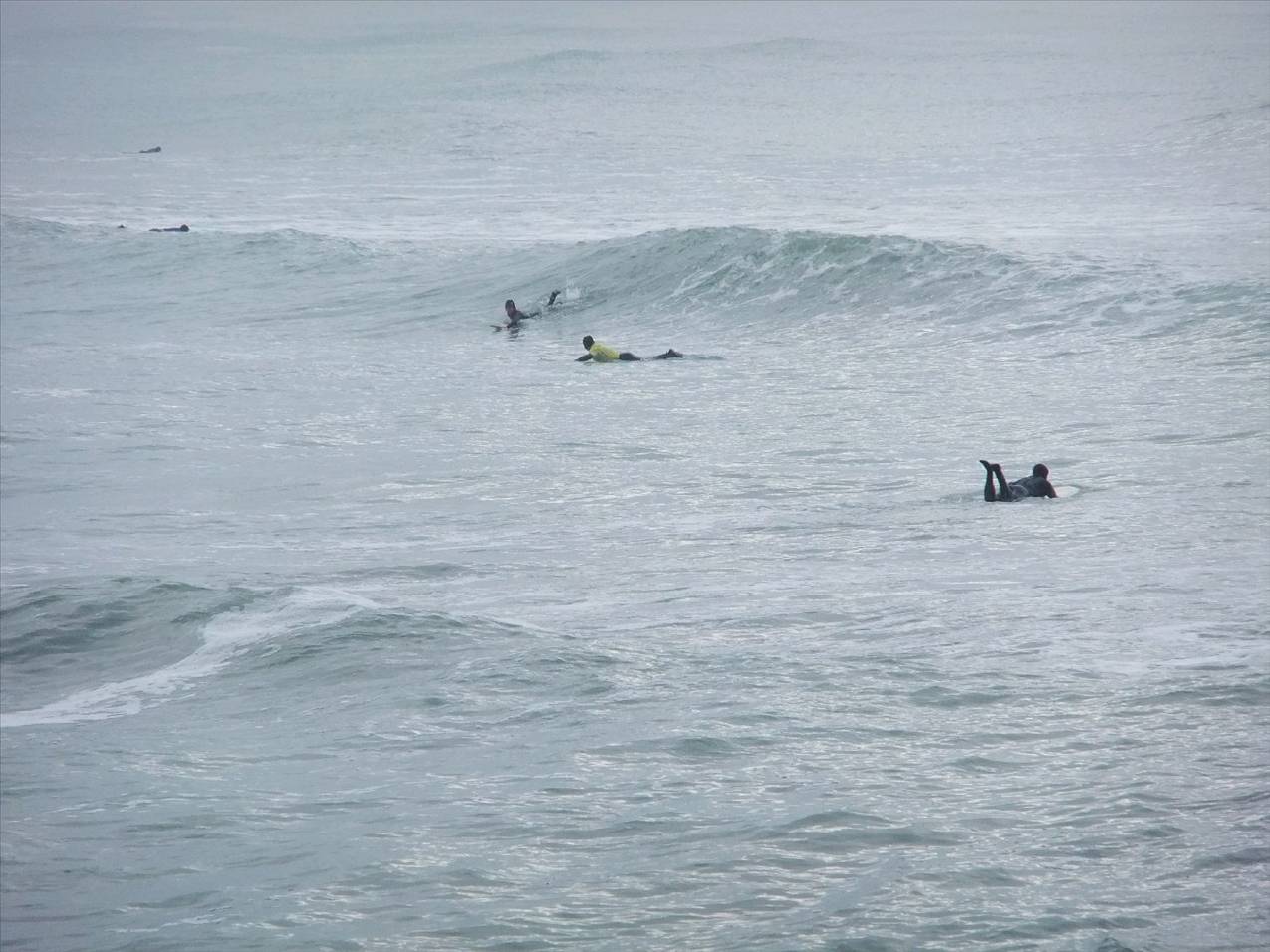 sumner 001