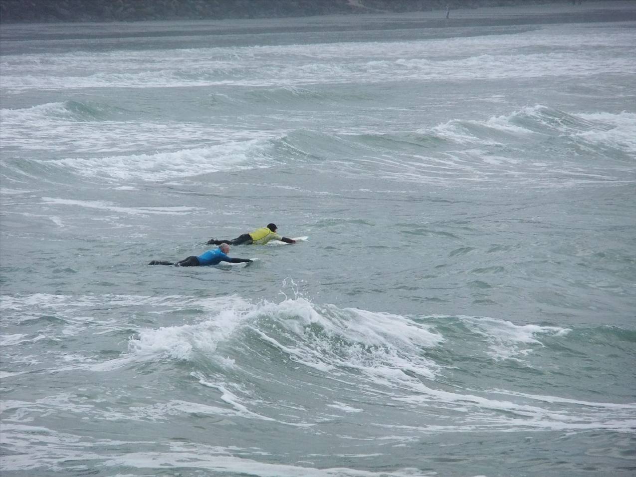 sumner 016