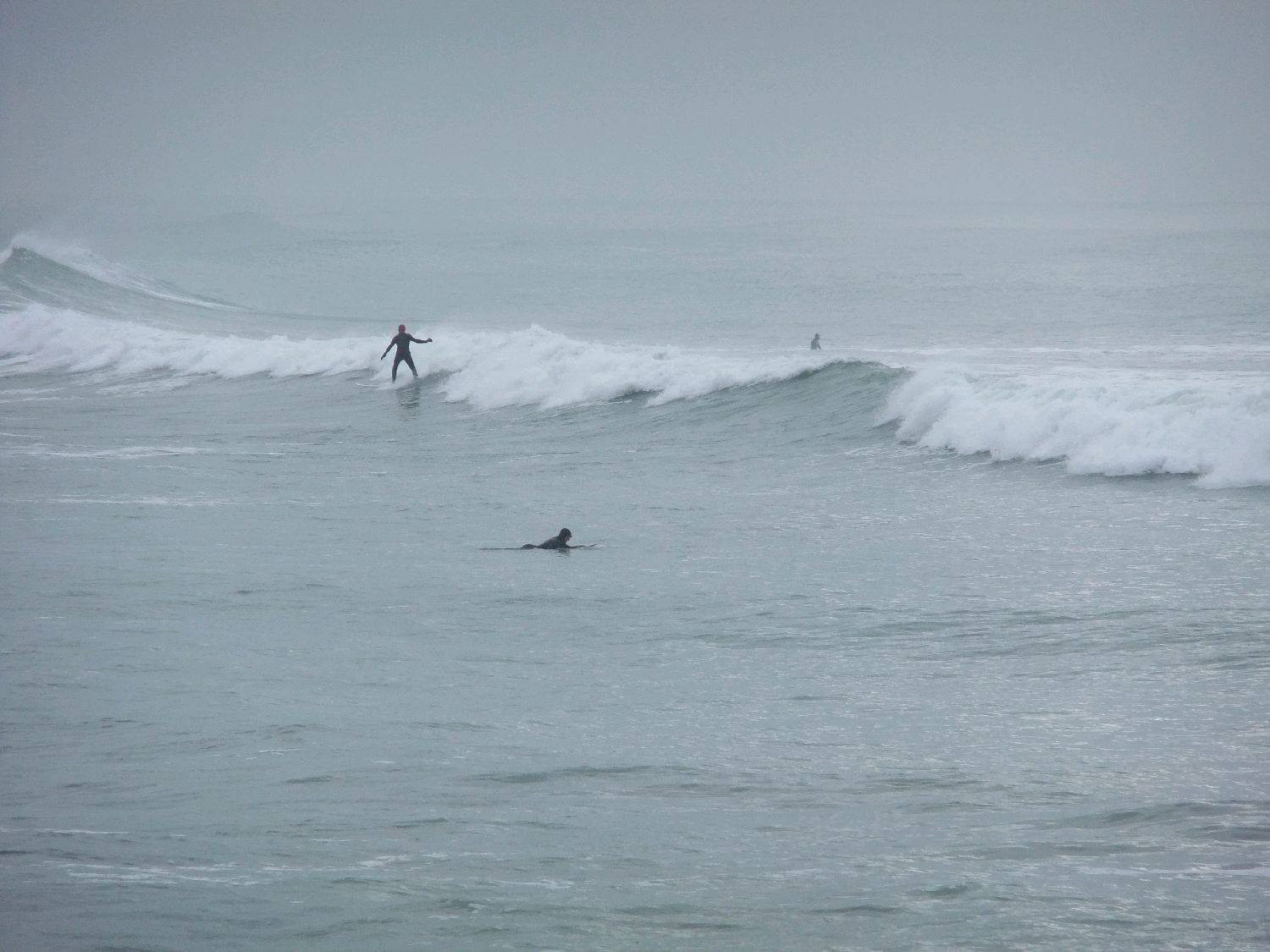 sumner 006