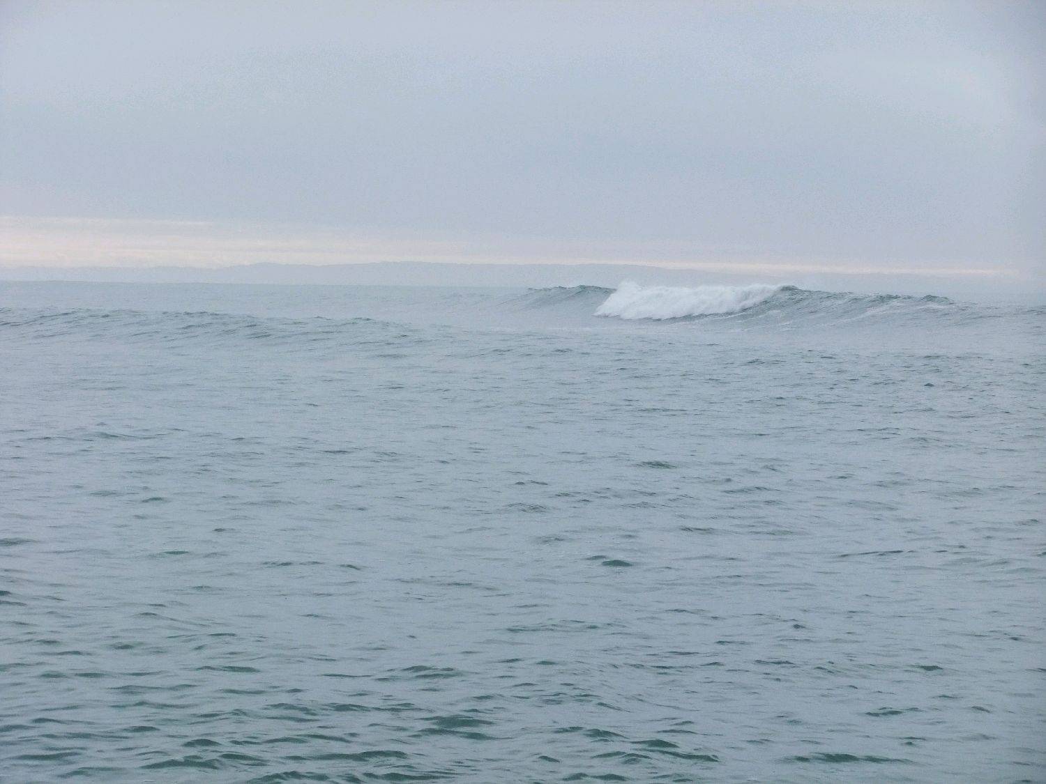 sumner 2 003