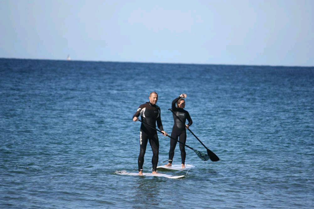 Fanatic boards, PAlmy