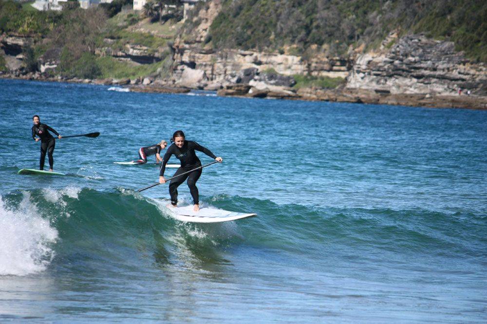 Fanatic boards, PAlmy