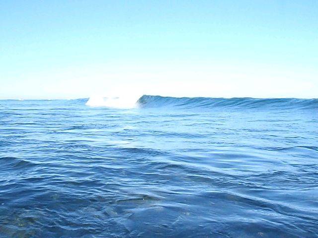 P1010166