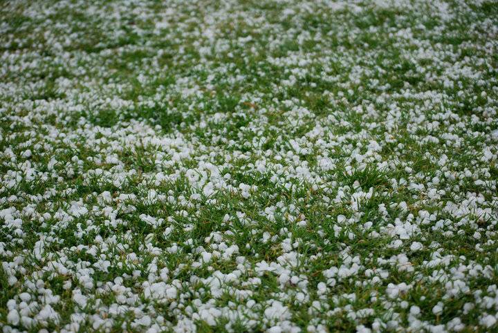 Hail Leftovers