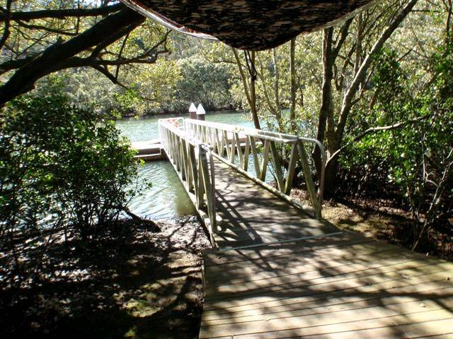 Lane Cove River 7