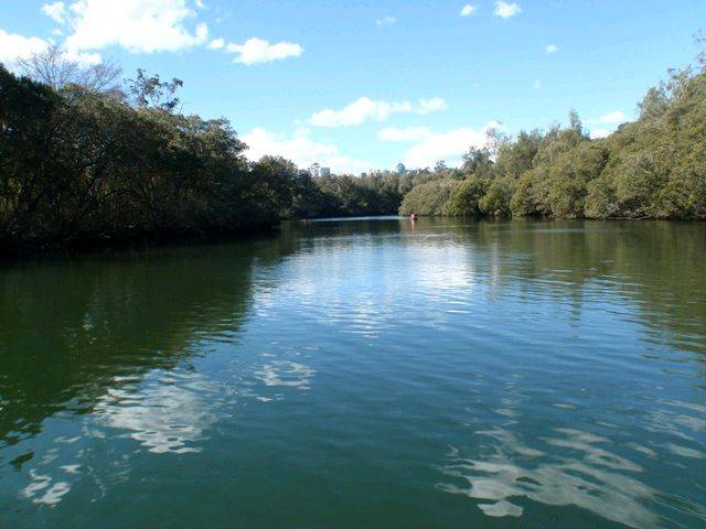 Lane Cove River 10