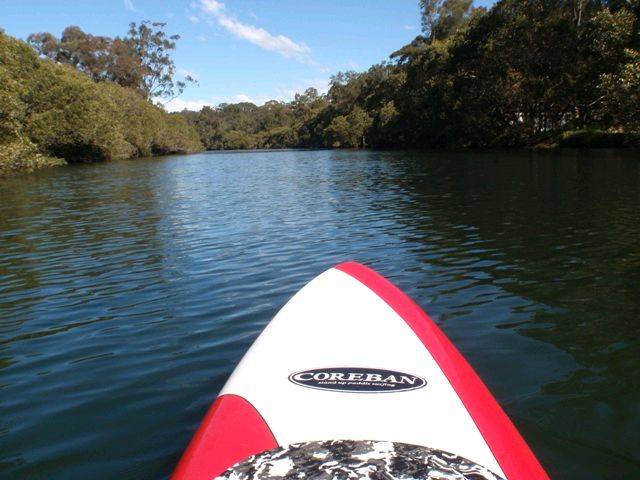 Lane Cove River 13