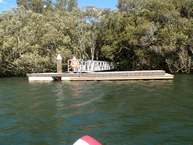 Lane Cove River 14
