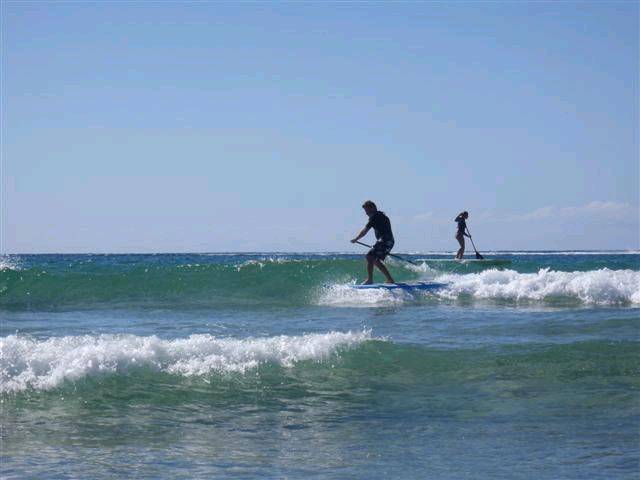 P8220027 (Small)
