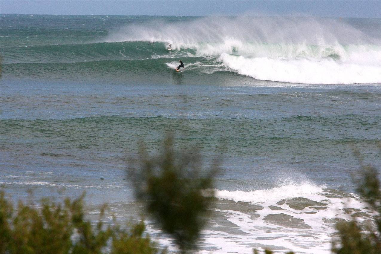 winter in victoria  max temp 11 degrees