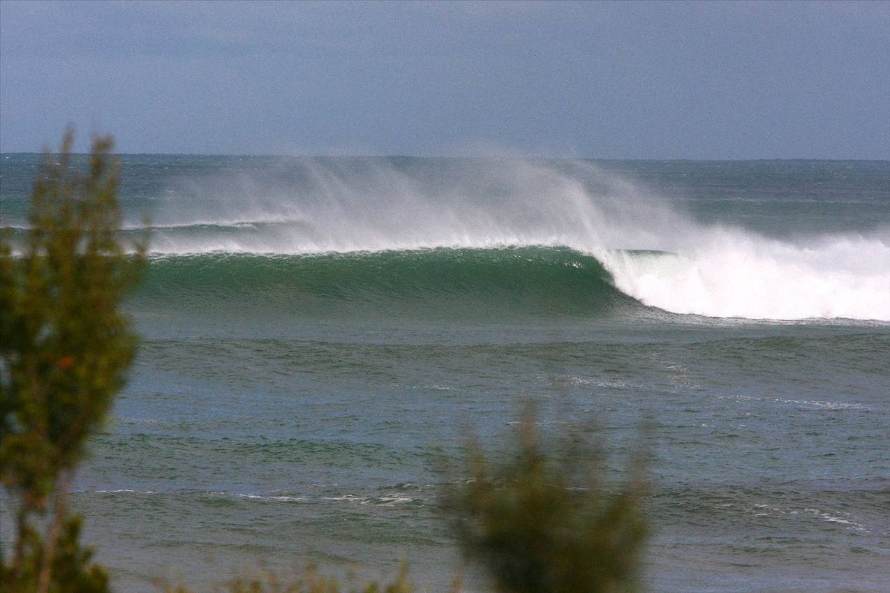 winter in victoria  max temp 11 degrees