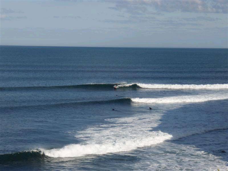 RINCON 029 (Medium)