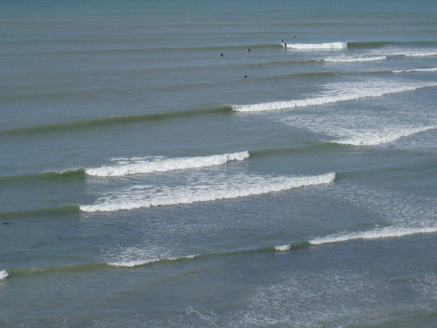 P9050059