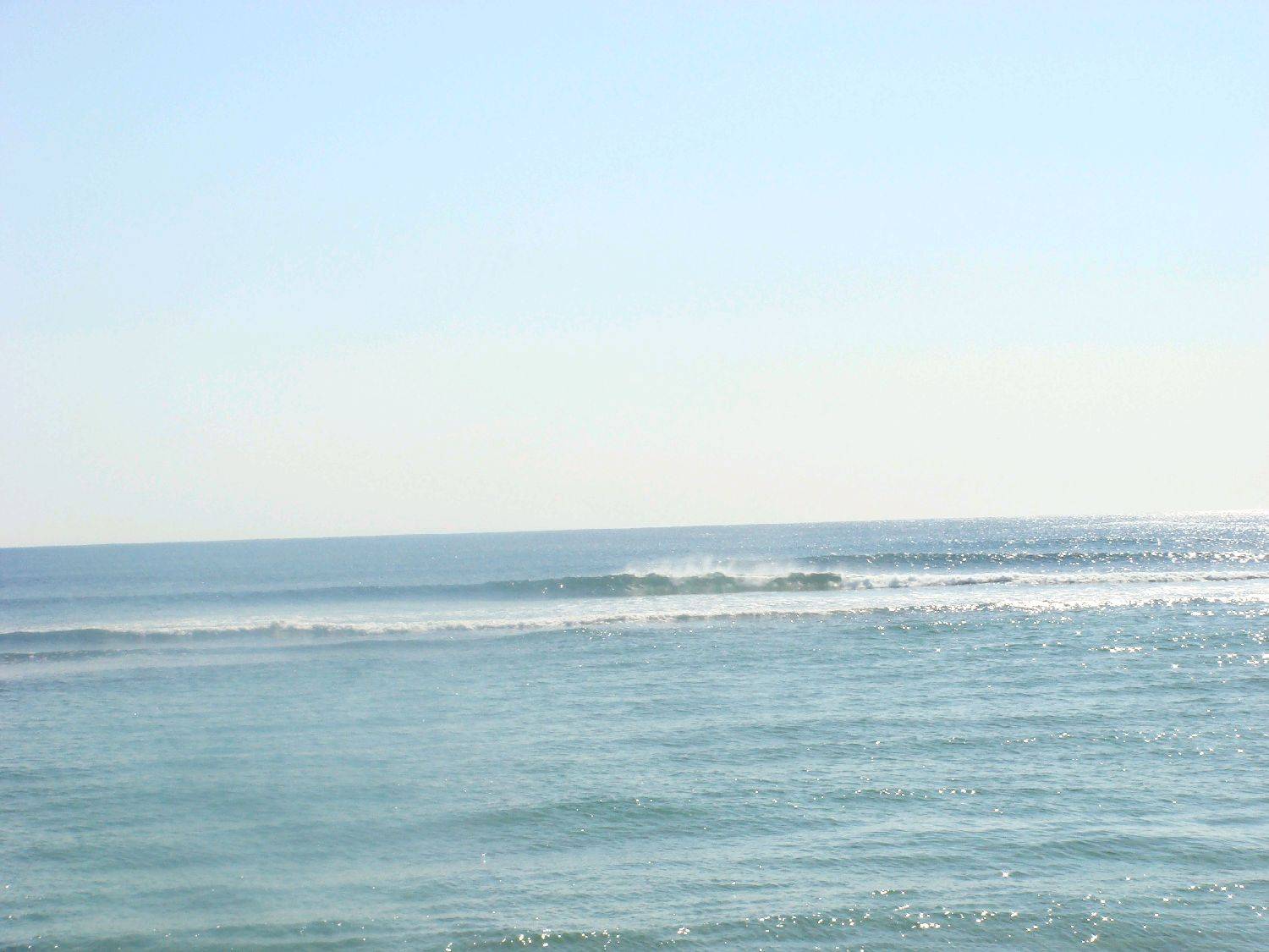 DSC01879