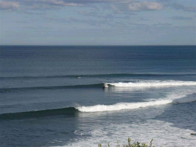 RINCON 007 (Medium)