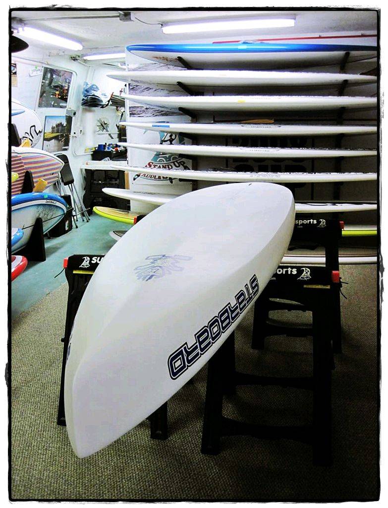 starboard free race31 4