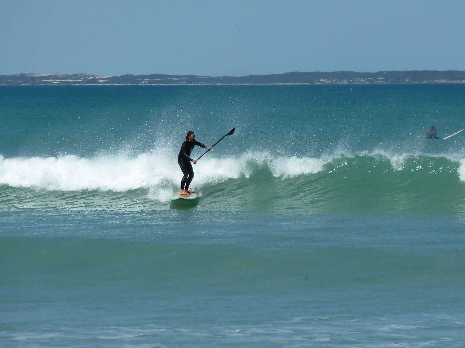 Pete long weekend