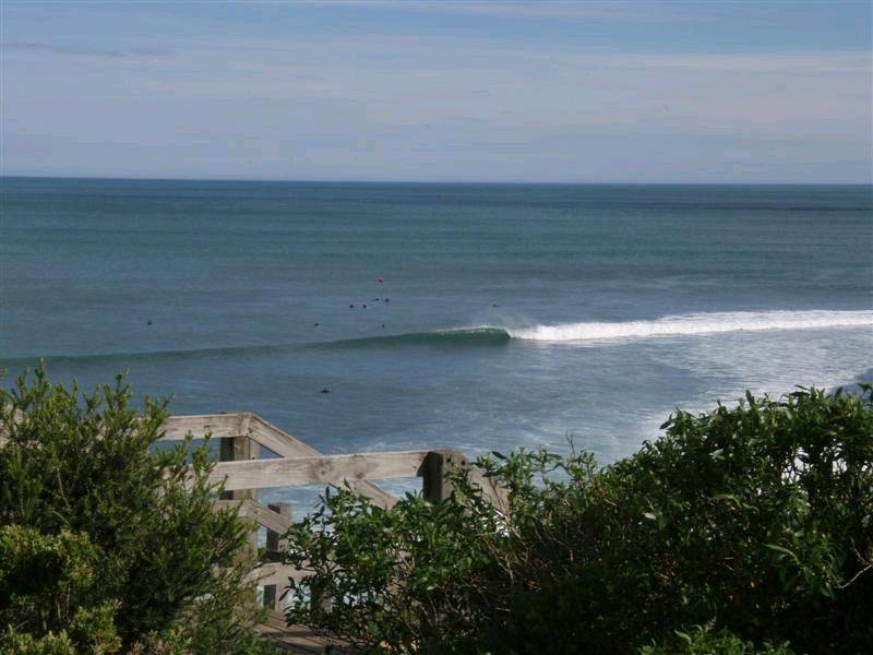 Rincon 065 (Medium)