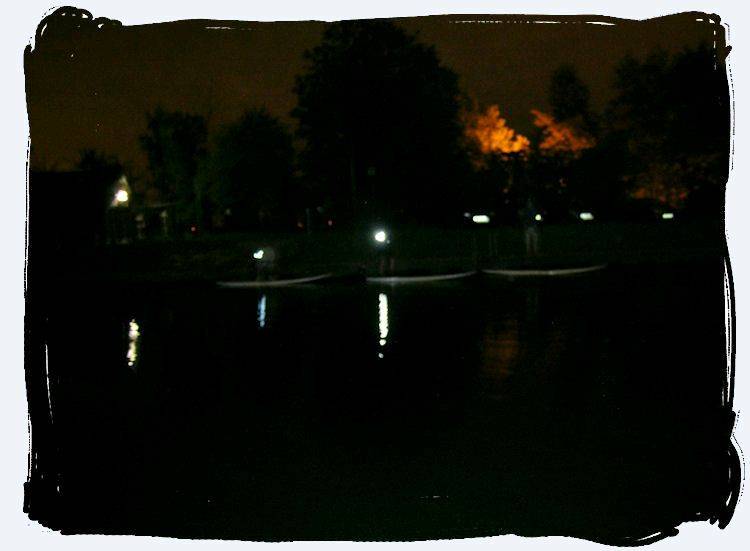 AlbanyNight08