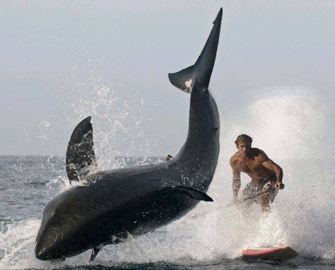 laird-hamilton-shark