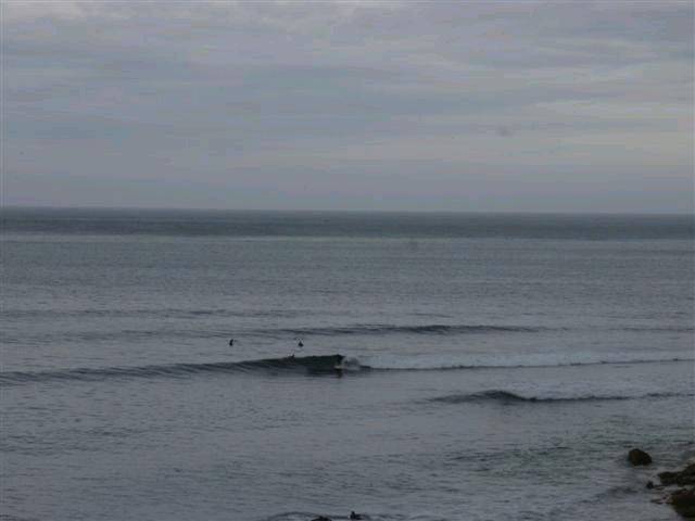 RINCON 002 (Small)