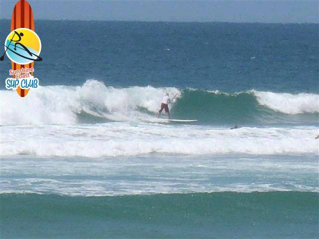 PB140085 (Small)