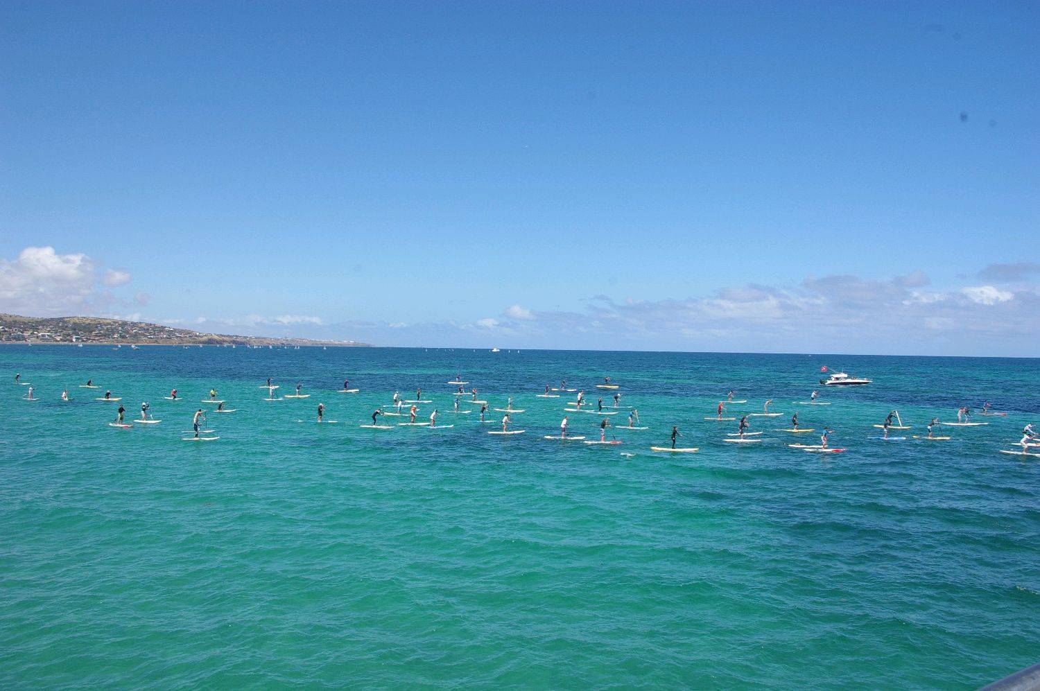 ONBOARD SA SUP DOWNWIND RACE
