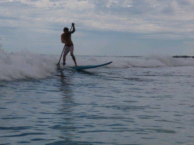wave of the day