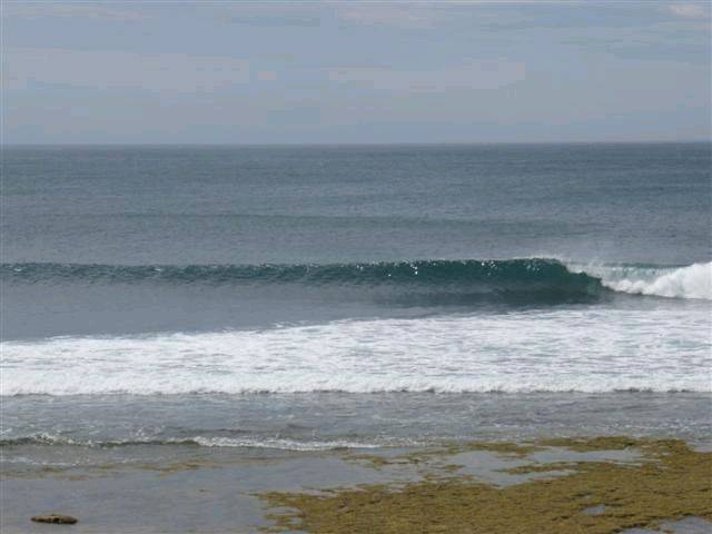 RINCON 039 (Small)