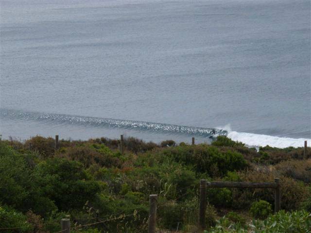 RINCON 040 (Small)