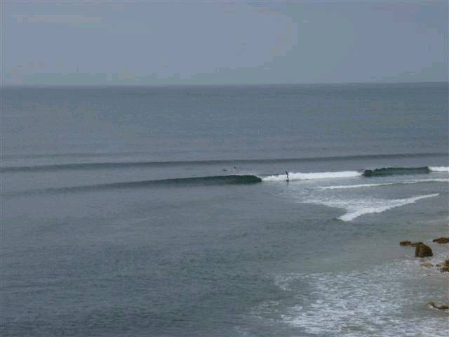 RINCON 073 (Small)
