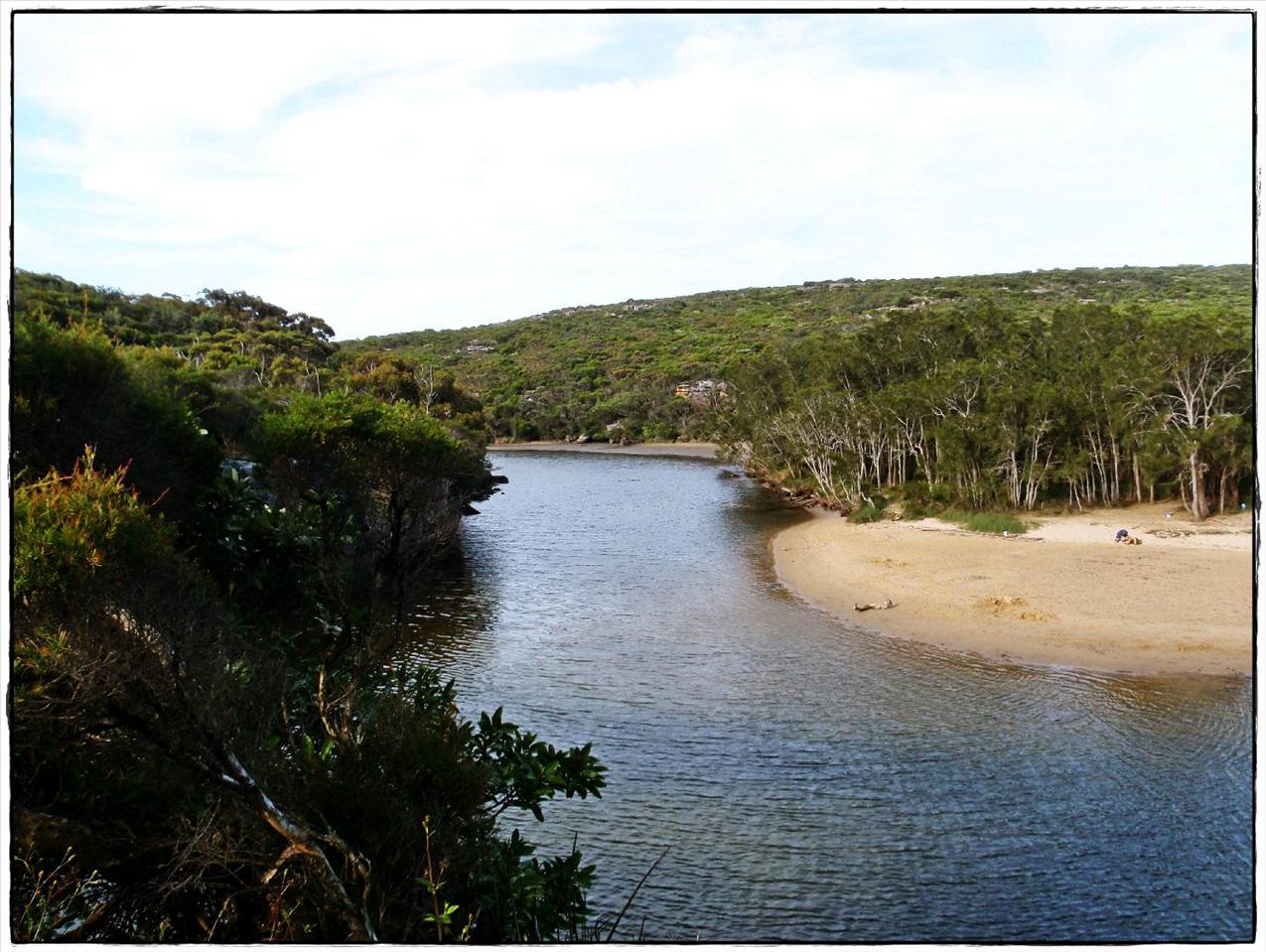 Wattamolla Royal National Park 8th December 2010 004