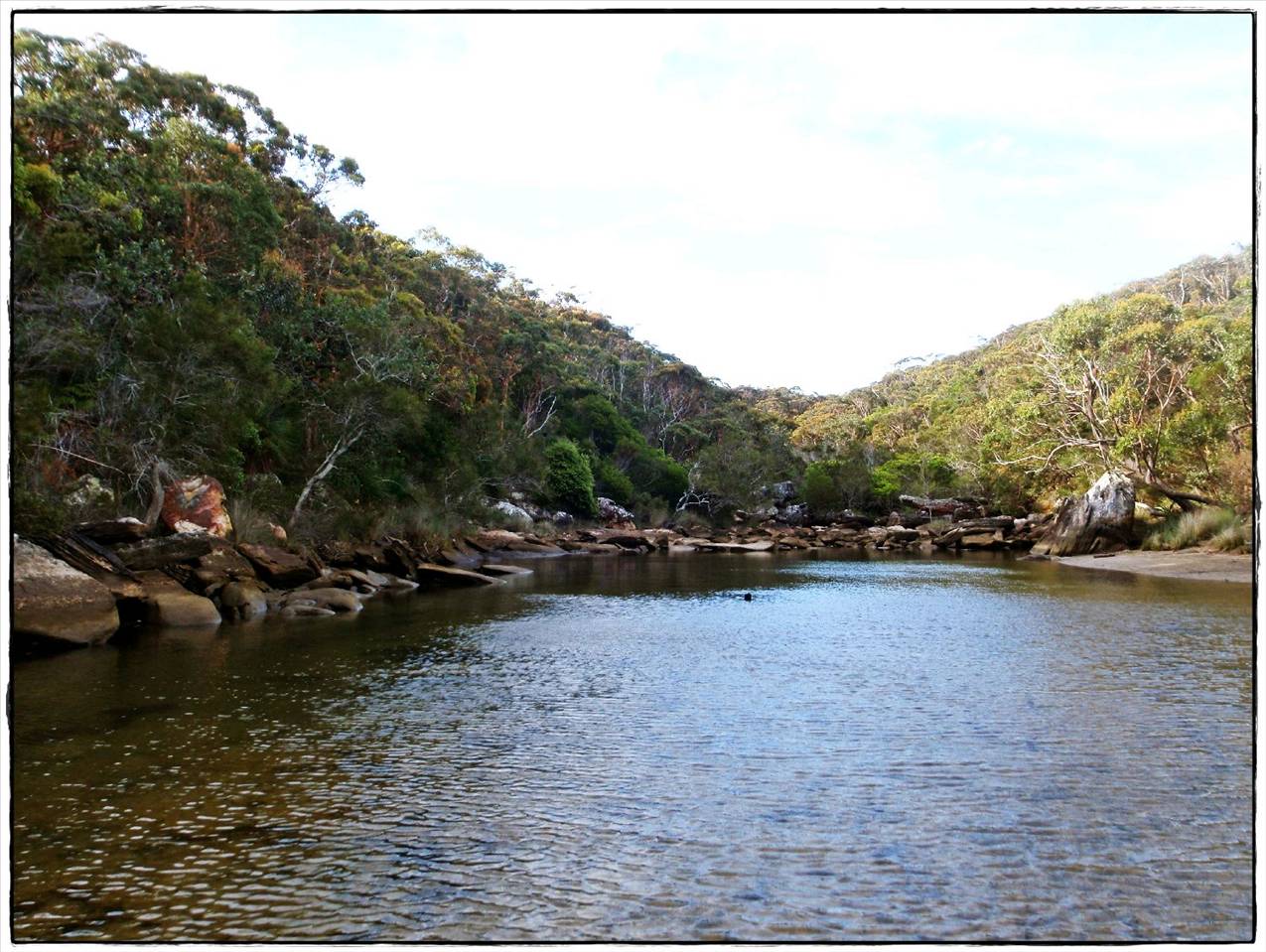 Wattamolla Royal National Park 8th December 2010 015