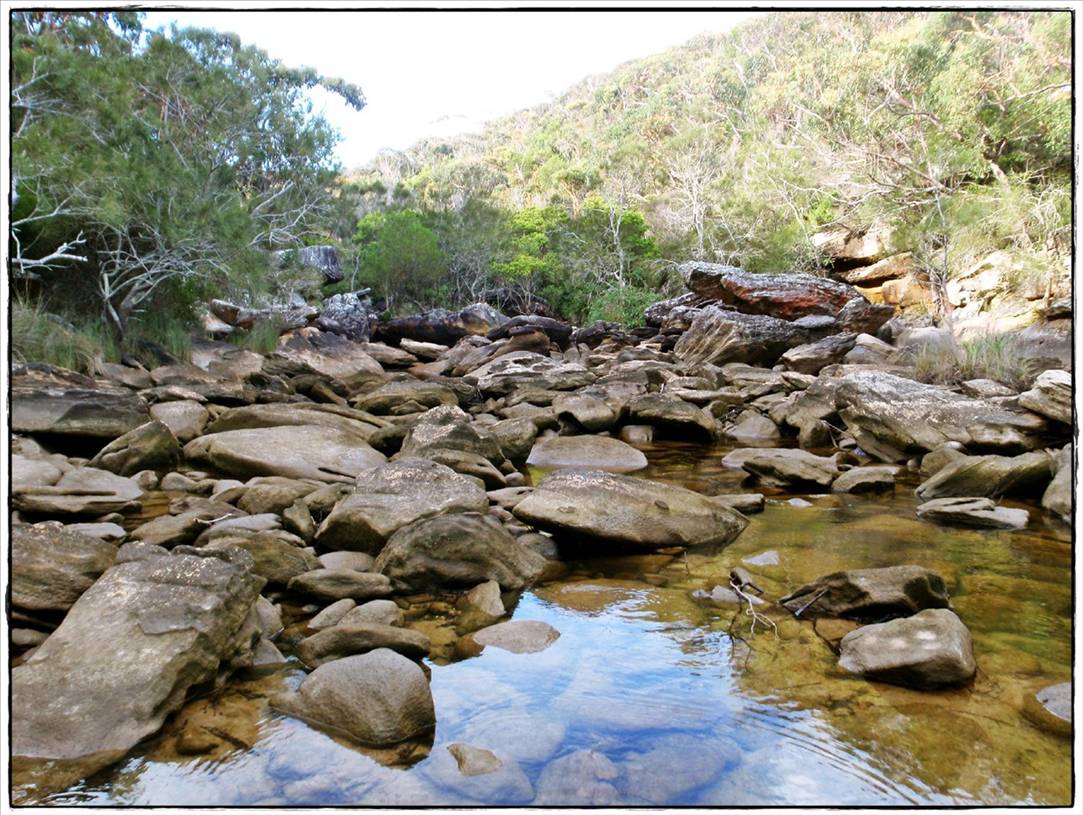 Wattamolla Royal National Park 8th December 2010 017
