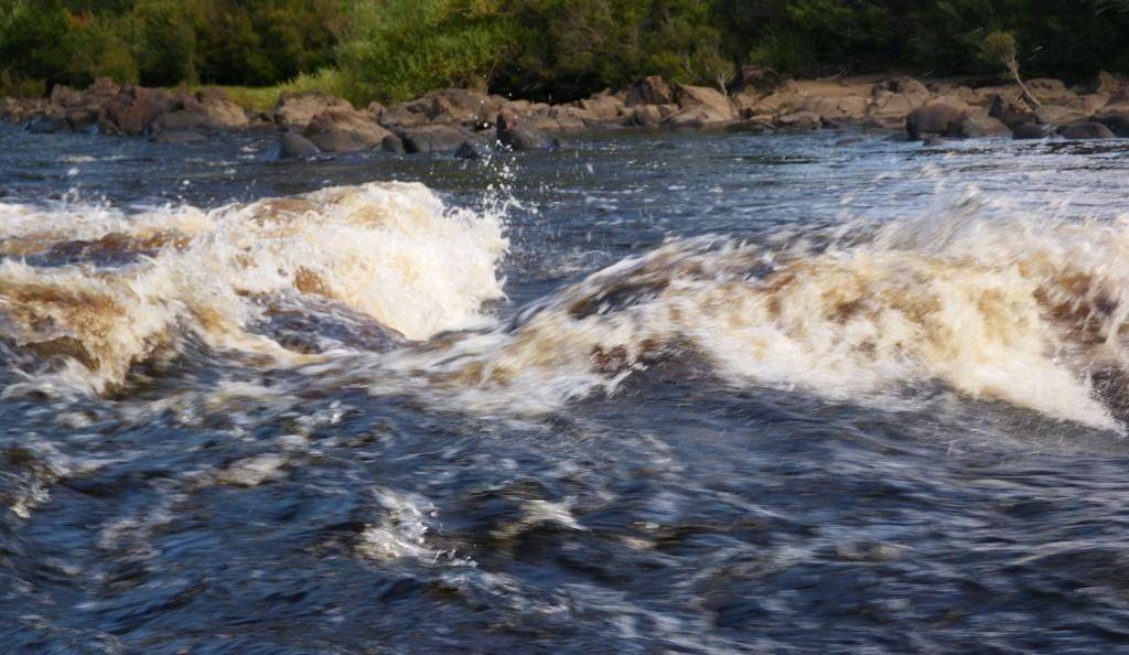 Class I/II rapids