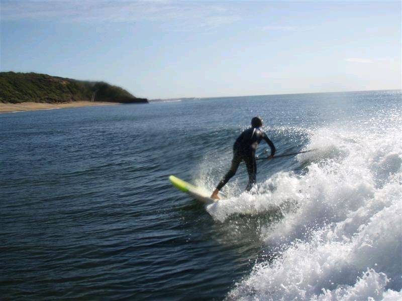 photo (Medium)