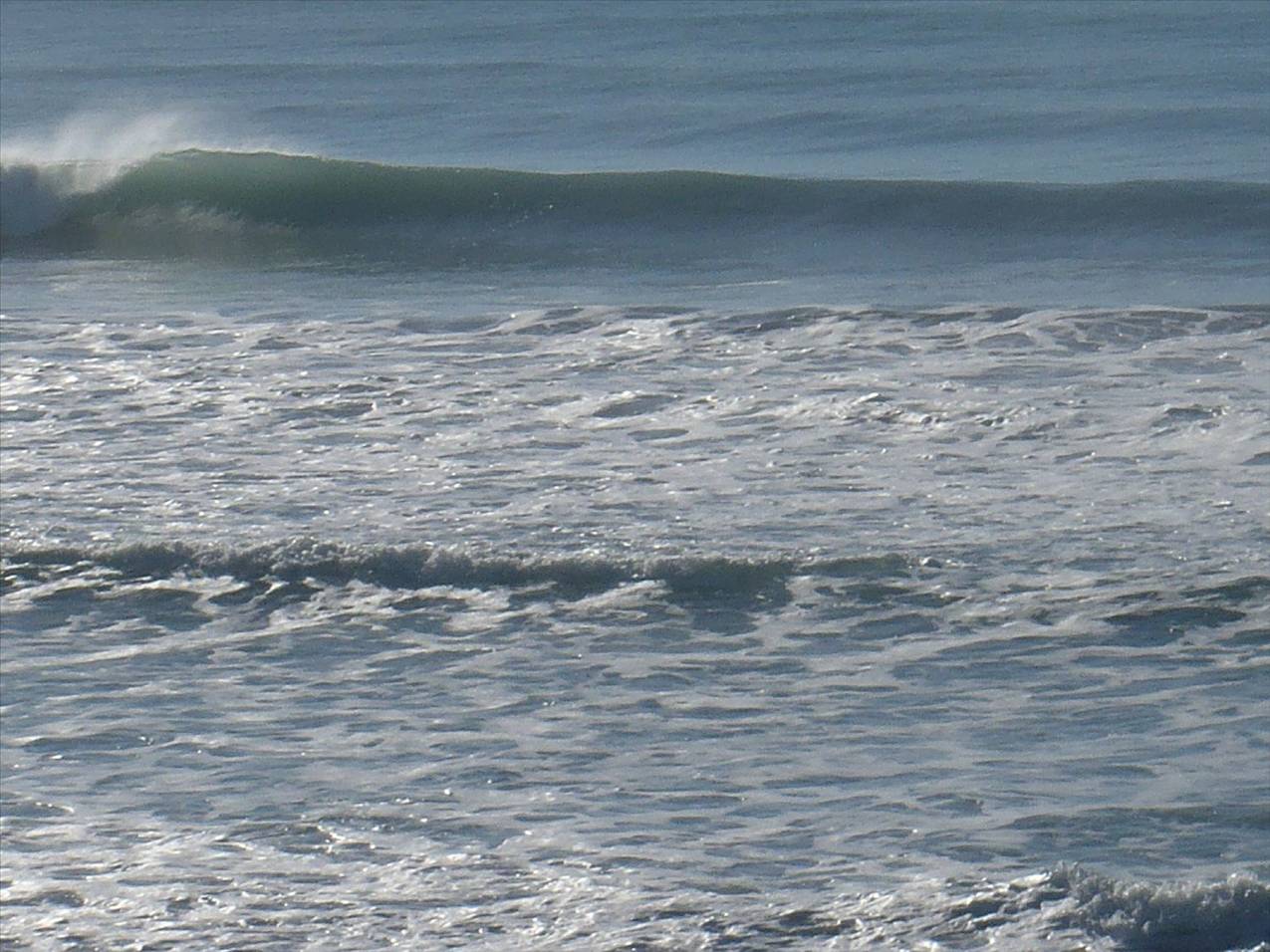 P3110017