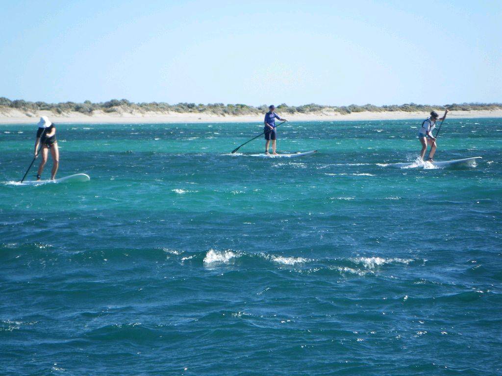 funpaddle 16