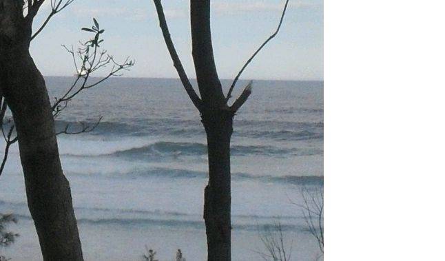 catho bay big set