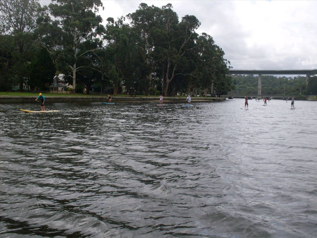 Cronulla SUP Club Social Day