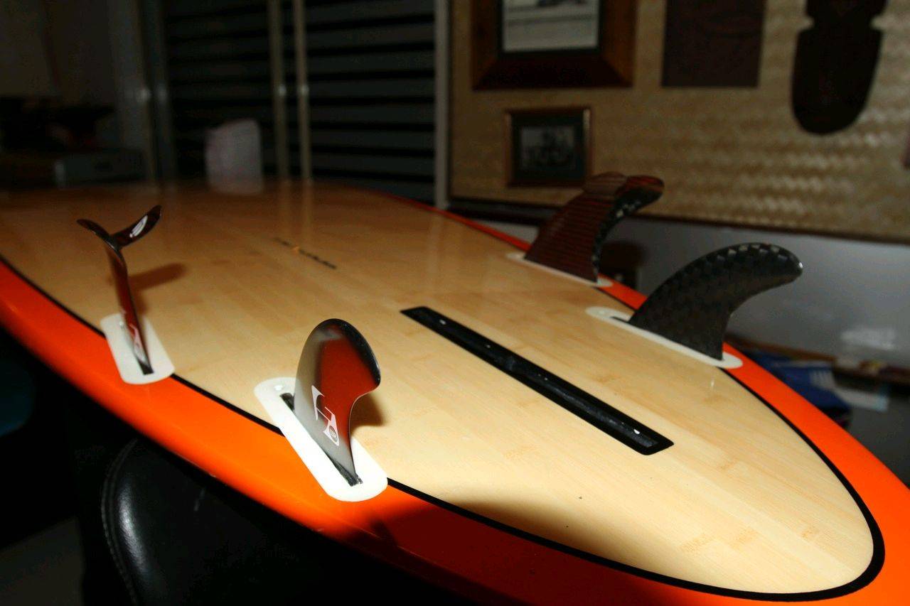 fins 1