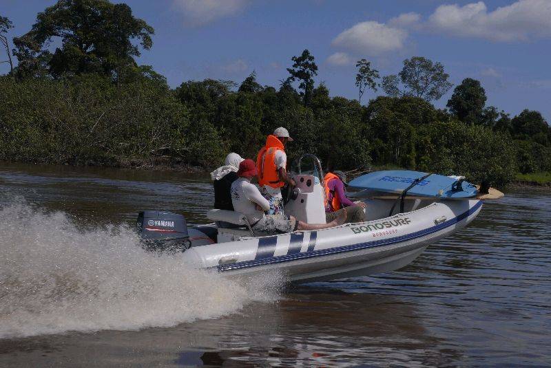 Bonosurf Besar